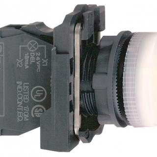 XB5AVB1 - фото - 1